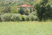 Fattoria
