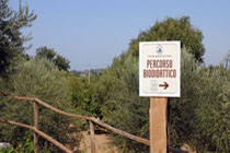 Fattoria