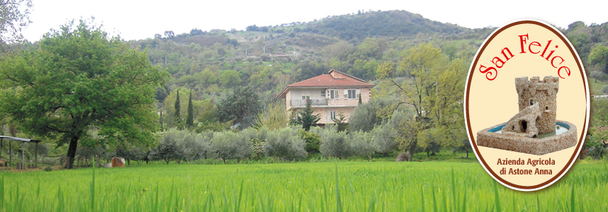 testata_azienda